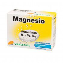 Magnesio Vallesol (24 uds)